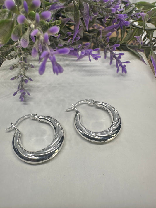 Silver Hoops
