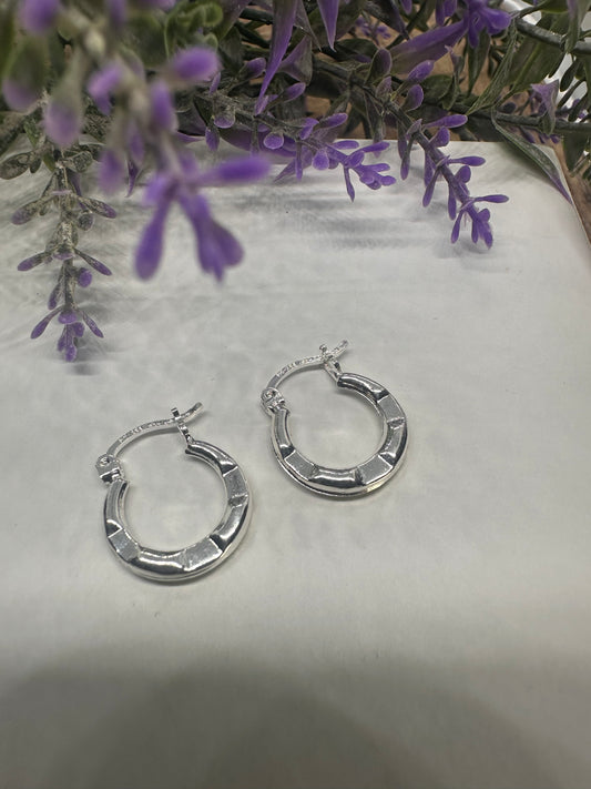 Silver Hoops S