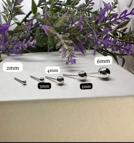 Silver Stud Earrings