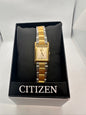 Citizen EcoDrive 2Tone