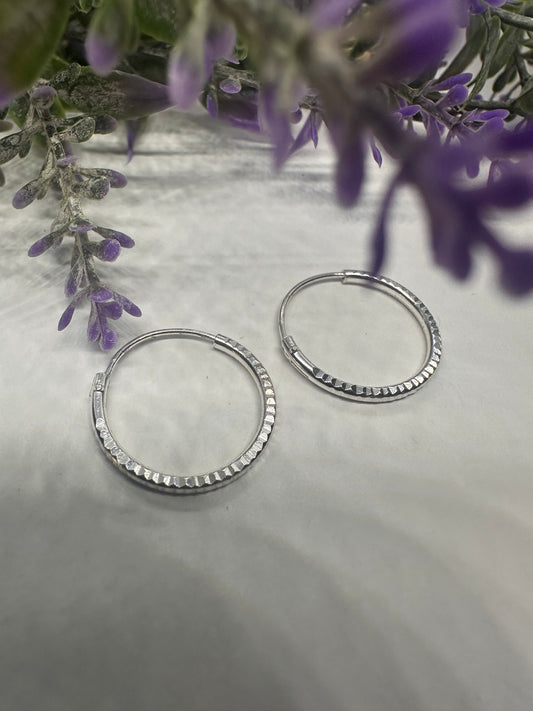 Silver Hoops /