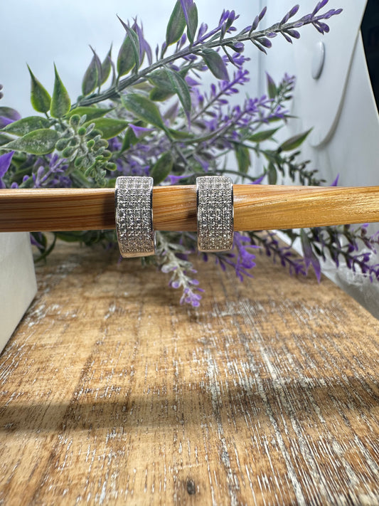 Studs Huggie Earrings